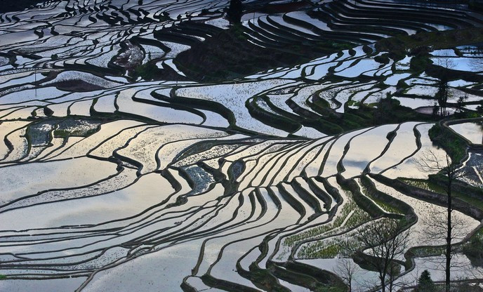 紅河(hé)哈尼族的大(dà)地畫(huà)作(zuò)—元陽梯田 是來(lái)紅河(hé)旅遊必去景區(qū)之一