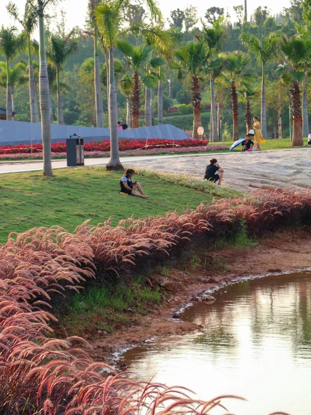 五龍湖(hú)公園