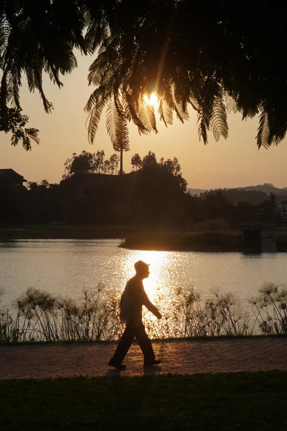 五龍湖(hú)公園