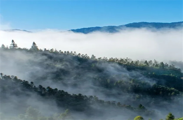 屏邊雲海奇觀 綿延數(shù)十裏美若仙境